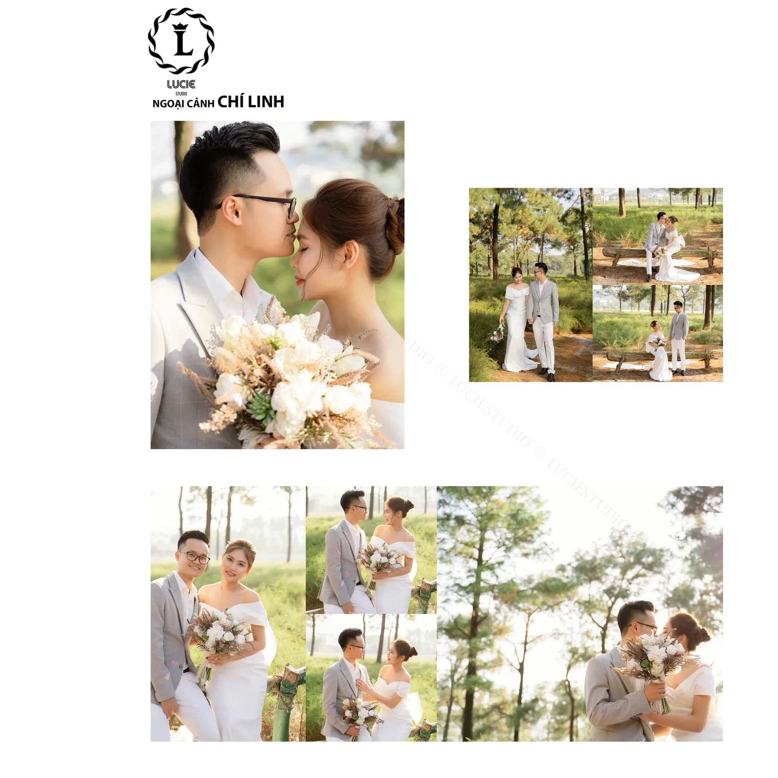 Đồi Thông Chí Linh - Côn Sơn