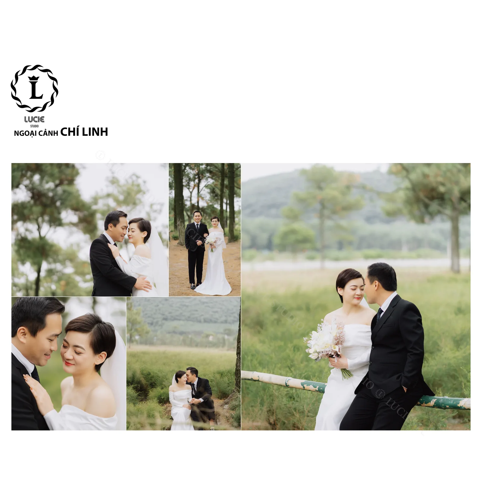 Nguyện Ước Dưới Rừng Thông - Chí Linh & Côn Sơn - Ảnh 2