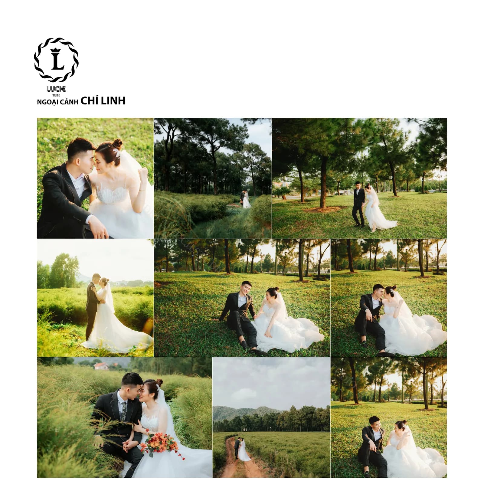 Nguyện Ước Dưới Rừng Thông - Chí Linh & Côn Sơn - Ảnh 4