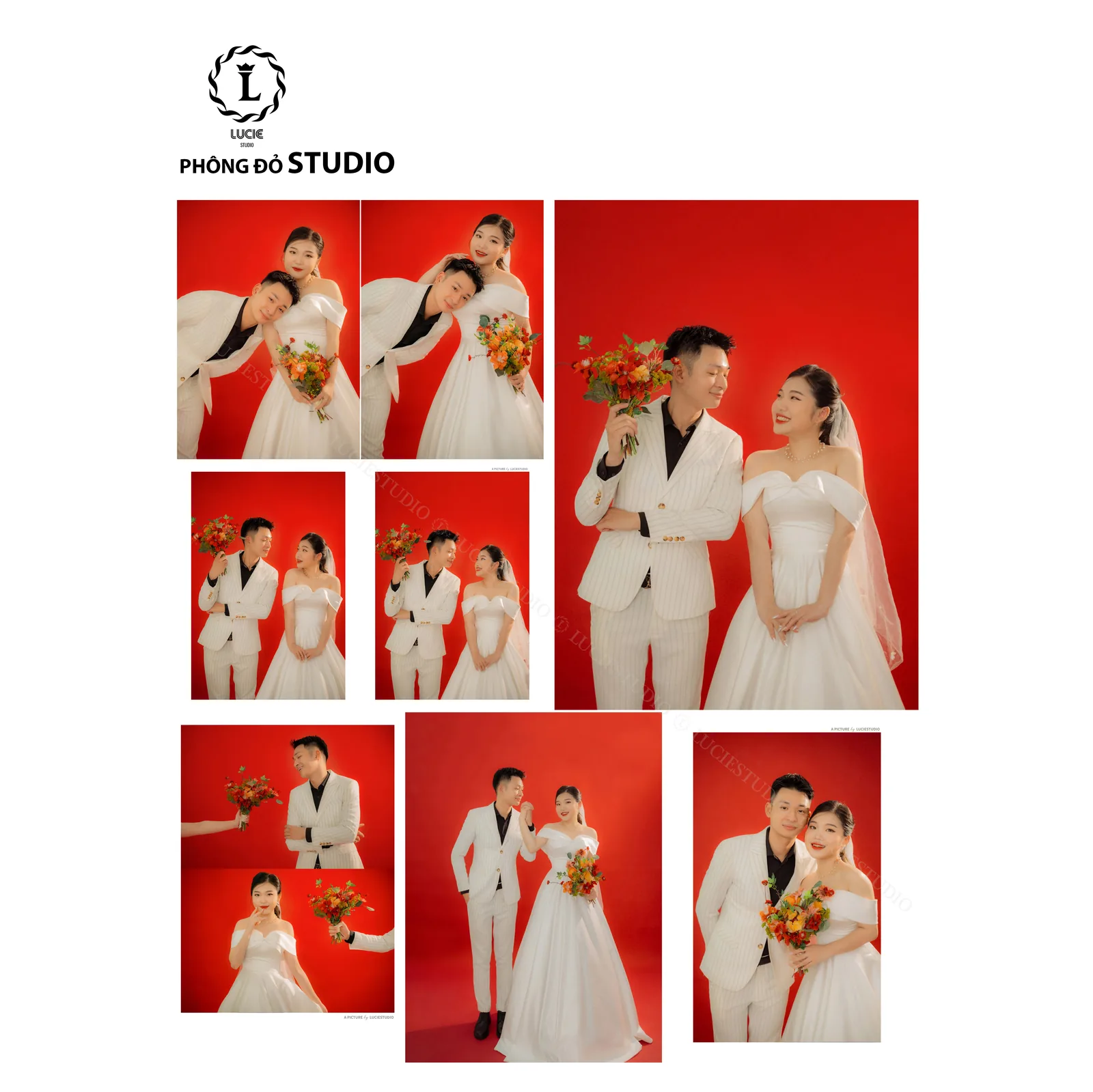 Tối Giản Tinh Tế - Studio Phông Trơn - Ảnh 2
