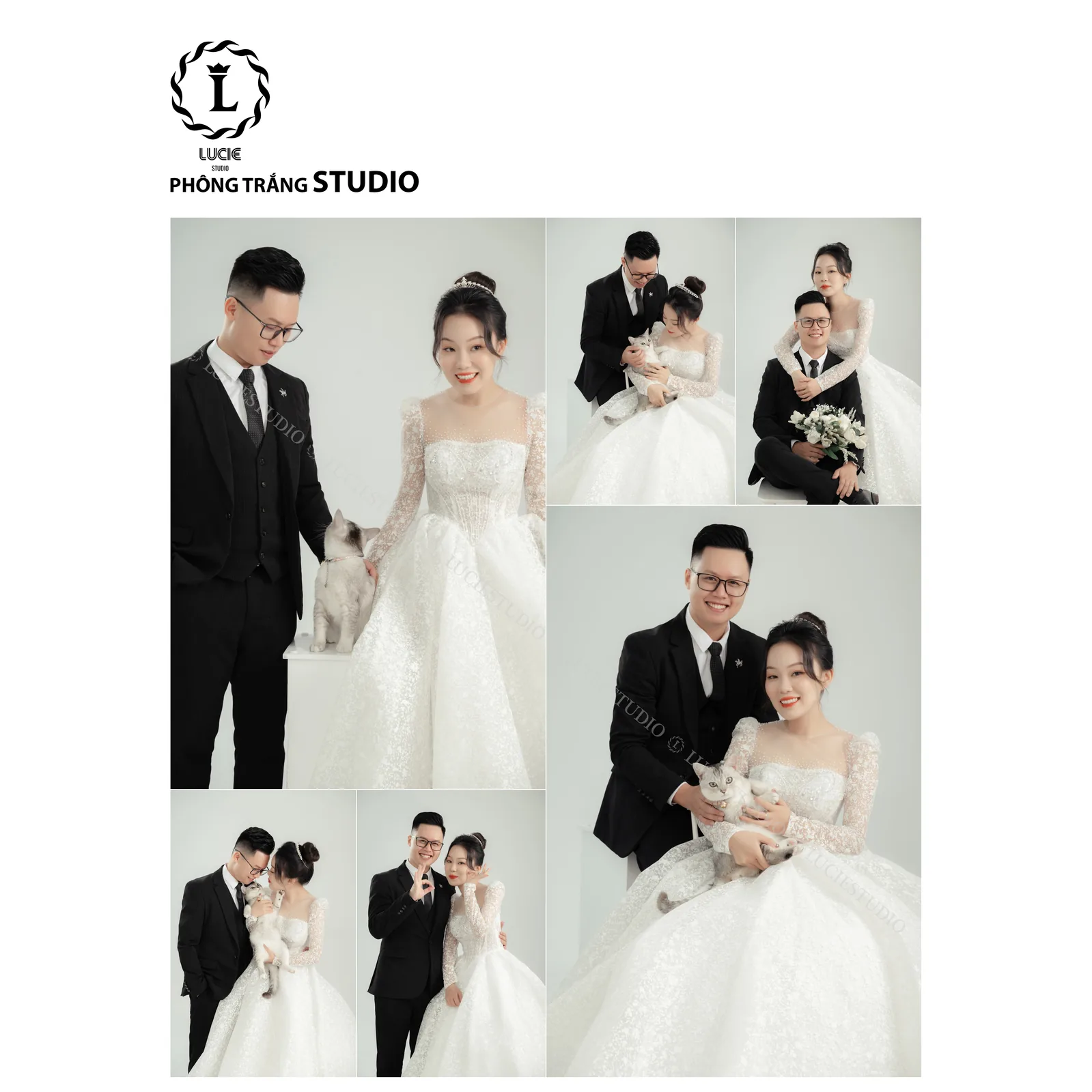 Tối Giản Tinh Tế - Studio Phông Trơn - Ảnh 3