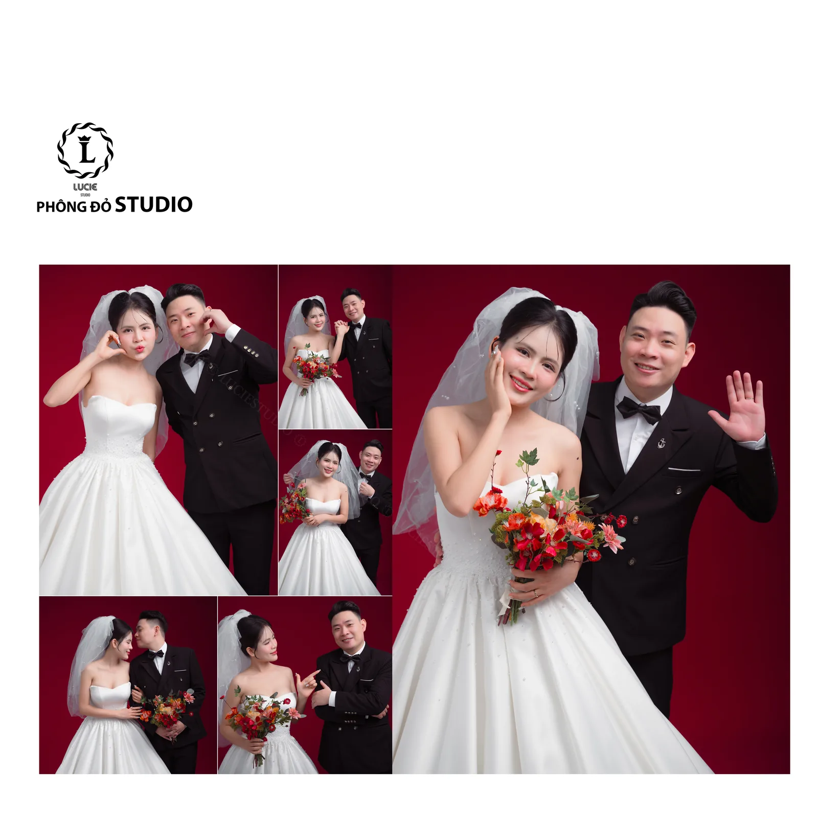 Tối Giản Tinh Tế - Studio Phông Trơn - Ảnh 6