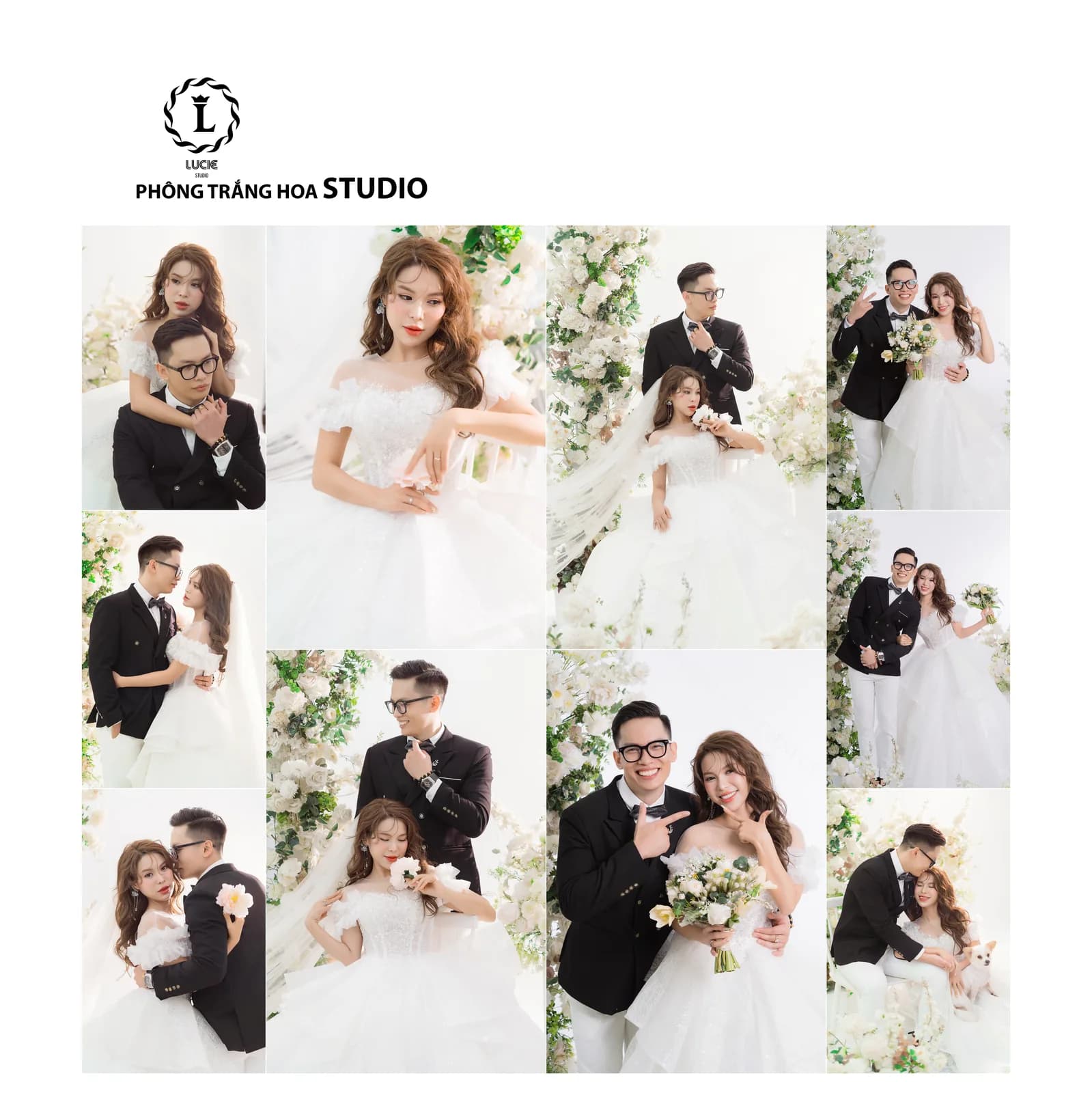 Tối Giản Tinh Tế - Studio Phông Trơn - Ảnh 8